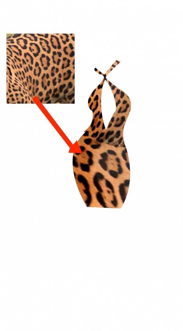 Creation of Leopard: Step 2